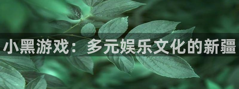 小黑游戏:多元娱乐文化的新疆