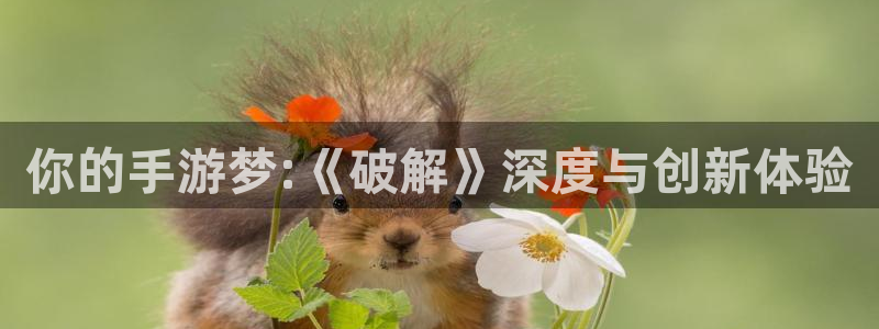 完美电竞平台可以观战吗:你的手游梦:《破解》深度与创新体验
