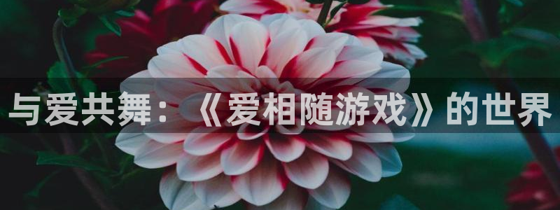 完美电竞appsteam校验:与爱共舞:《爱相随游戏》的世界