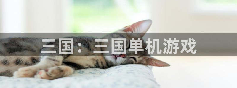 完美电竞怎么授权steam库存:三国:三国单机游戏