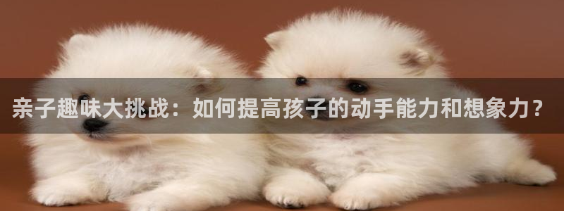 完美电竞世界库存怎么刷新的:亲子趣味大挑战:如何提高孩子的动