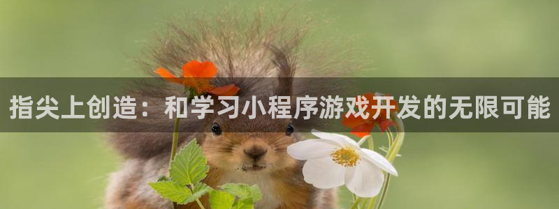 完美电竞平台有防沉迷吗:指尖上创造:和学习小程序游戏开发的无